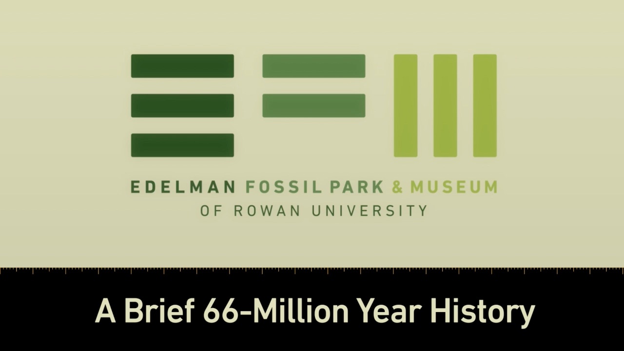 A 66-Million Year Timeline